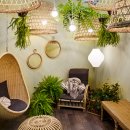 나만의 플랜테리어 이미지