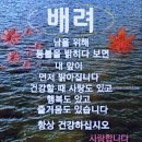 [[부전~안동 경유 ~서울역 열차시간표]] #️⃣중앙선 완전개통 안동역 환영행사" 이미지