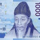 노란마켓 이미지