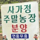 다마스 밴 중고차 시세&amp;구매 고객 후기