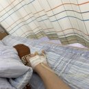 나주봉황중학교 이미지