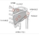 건강튼튼의원 이미지