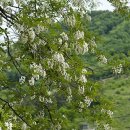 박*성 - 미추홀구 승학길76번길 18-6 | 박*성