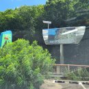 충남 서산시 국립용현자연휴양림 숙박 후기(2023.7.26.)