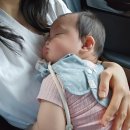 포독스 | 아기 서혜부 멍울 림프절 붓는 이유 임파선염 치료