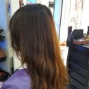 김송정머리터 이미지