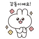 강남 고양이 분양 냥블리 이미지