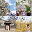 종로-연건-종로-연-551 | 서울,경기 3-4월 봄꽃구경 덜 유명한 장소 소개 ( 운현궁, 매화동산, 카페 외 5곳)