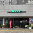 로뎀트리로뎀나무 이미지
