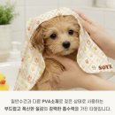 주식회사 더좋은 - 익산시 | [주식회사 모이다무역] 강아지타월 추천! 흡수력 좋은 애견타올 사용 후기