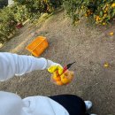 동홍약국 이미지