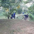 선산장의사