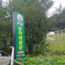 비슬 승마체험장 | 대구승마장후기/ 송해공원 &lt;비슬승마체험장&gt; 강습후기♥