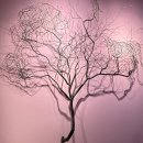 곰부인네 | 와일드스미스 그림책 원화전 후기·예매할인·굿즈 | 예술의전당 어린이 전시 추천