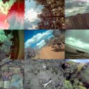 Song Story's 이미지