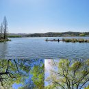 새버들목장 | 아산 가볼만한곳 <신정호 호수공원> 산책 후기 ft. 건강걷기대회 행사