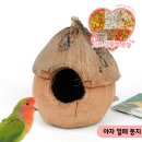 둥지 - 계룡시 엄사중앙로 102 | 둥지