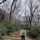 북부동 등산로 이미지