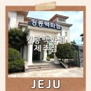 커텐백화점 | 킹콩백화점 제주 방문후기 리퍼브샵 반품샵 내돈내산