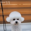 헤어컹컹 - 수원시 영통구 동수원로 296 | 헤어컹컹
