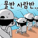 해변호