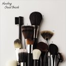 Brush 이미지