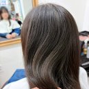 아리동물약품 | 광안리 미용실 추천 어파인웨이브헤어 손상 없는 매직 클리닉