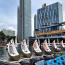 따스한봄날 이미지