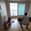 스노우화이트 | [페인트]팬톤 멀티 에그쉘광 페인트 스노우 화이트 후기