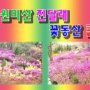 배영곡 네이버블로그