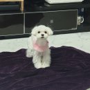 놀자놀자