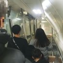 오모차랜드 네이버블로그