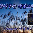 숨어 우는 바람소리 - 노래 &#34;이정옥&#34; [가사자막] 이미지