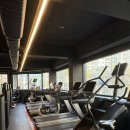 셀럽피트니스 이미지