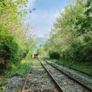 김유정로 R 이미지