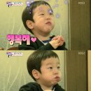 통나무오리 이미지