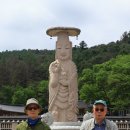 남양주 광릉, 봉선사 파주 국립수목원 연계 답사 이미지