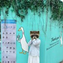 79 | 청주 산남동 카페 79파운야드 청주산남점 후기 | 크로플·케이크 맛집