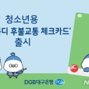 똑디