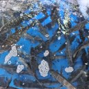 법대로 법무사 행정사 사무소 이미지