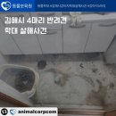 동물보육원 김해지부 네이버블로그