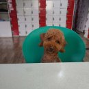 라이프헬스 이미지