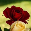 카페인연 - 김포시 양곡2로30번길 30 | 카페인연