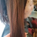 제이유(JU)헤어 이미지