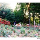 이야기가 있는 풍경 이미지