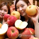 당도 - 전주시 덕진구 조경단로 104 | 당도