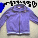 마리애견 이미지