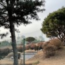 은봉골프연습장 이미지