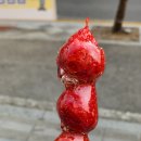 왕가탕후루 이미지