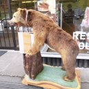 하나목장 이미지